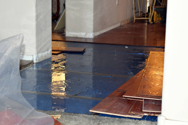 Professional Water Damage technician working in West Newton, MA