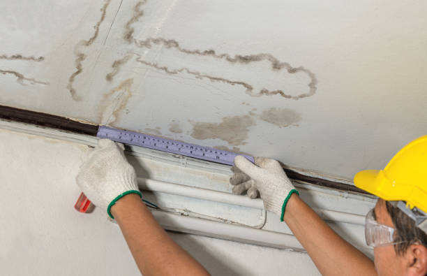 Reliable Water Damage contractor in West Newton, MA by Water Damage Irwin